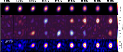 First Detection of Faraday Rotation in a Gamma-Ray Burst Afterglow: Low Polarization and High Rotation Measure in GRB 260310A Reveal Jet Magnetic Structure and Environment