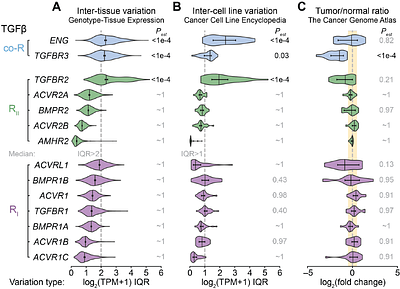 TGFβ signaling systems are prone to inhibition and ligand competition by coreceptor