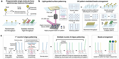 Light-guided molecular patterning for programmable multiplexed single-molecule manipulation