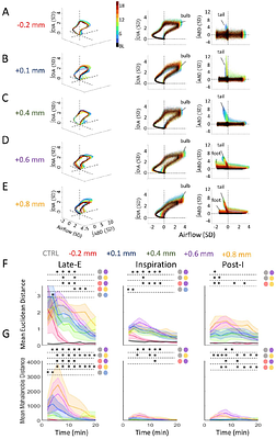 Mapping responses to focal injections of bicuculline in the lateral parafacial region identifies core regions for maximal generation of active expiration