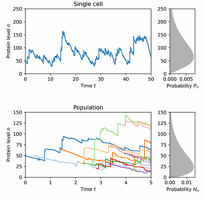 Bursty Gene Expression in Single Cells and Expanding Populations: A Discrete Approach