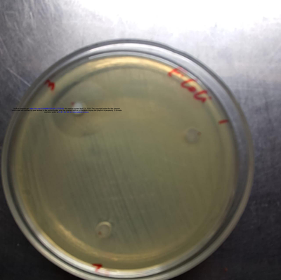 Antibacterial activity against Escherichia coli: A proof-of-concept study of colloidally aggregated silver nanoparticles with experimental evidence
