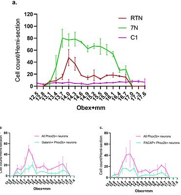 Characterisation of putative retrotrapezoid nucleus (RTN) chemoreceptor neurons in the adult human brainstem