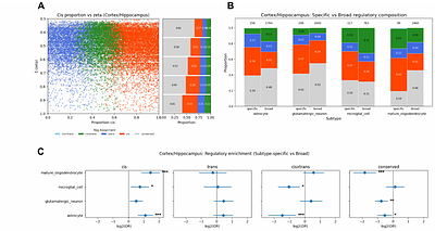 Hybrid crosses reveal a cell-type-specific landscape of mouse regulatory variation