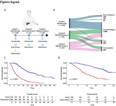 Clinical and molecular characterisation of primary refractoriness to atezolizumab plus bevacizumab in patients with unresectable hepatocellular carcinoma.