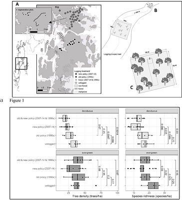 Taking stock of selective logging in the Andaman Islands, India: recent & legacy effects of timber extraction, assisted natural regeneration and a revamped working plan