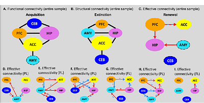 Predicting individual differences of fear and cognitive learning and extinction