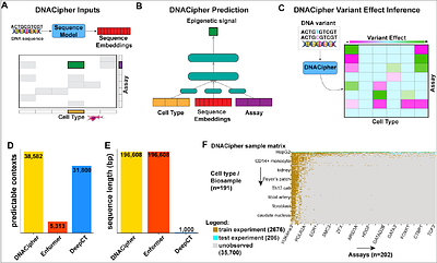 Comprehensive molecular impact mapping of common and rare variants at GWAS loci