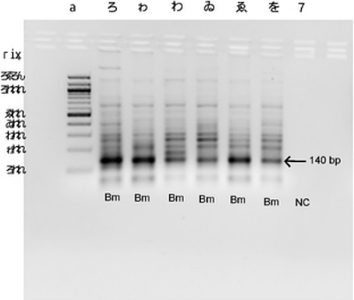 Evidence of residual Brugia malayi infection in TAS-III cleared areas of coastal Odisha: Findings from Molecular Xenomonitoring