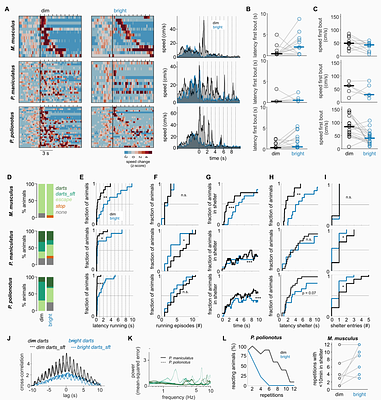 Ambient Light Impacts Innate Behaviors of New-World and Old-World Mice