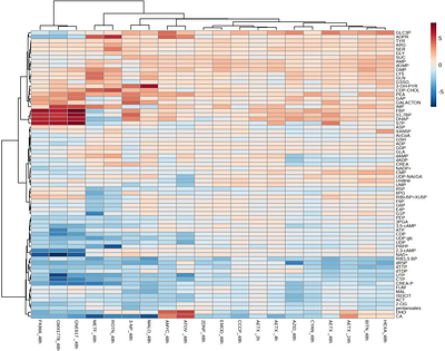 Aetokthonotoxin, the causative agent of vacuolar myelinopathy, uncouples oxidative phosphorylation due to protonophore activity