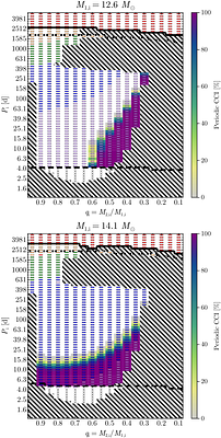 Neutron star-companion interaction in core collapse supernovae. Population synthesis based on detailed binary evolution models