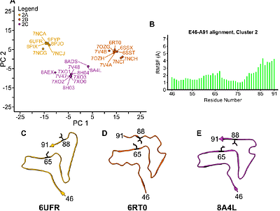 Alpha-Synuclein Fibril Structures Cluster into Distinct Classes