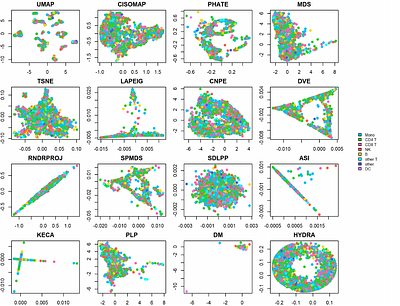 From Pairwise Distances to Neighborhood Preservation: Benchmarking Dimensionality Reduction Algorithms for CyTOF, scRNA-seq, and CITE-seq