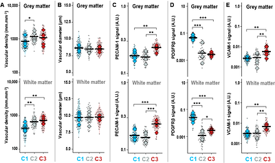 Abrupt Pericyte Loss Precedes Endothelial Activation in Cerebral Small Vessel Disease