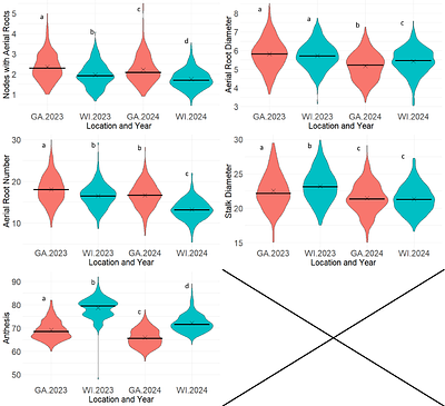 Genetic determinants of aerial root traits that support biological nitrogen fixation in maize
