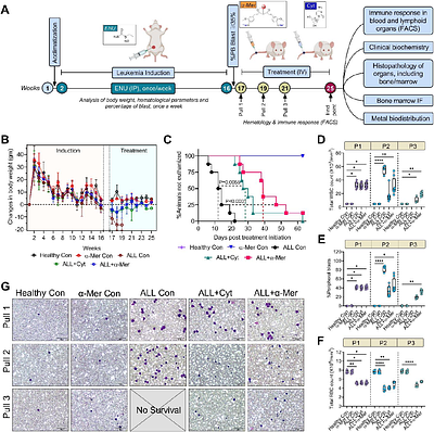 A first-in-class multimodal organomercury compound demonstrates preferential blast reduction with hematopoietic and immune restoration in Acute Lymphoblastic Leukemia