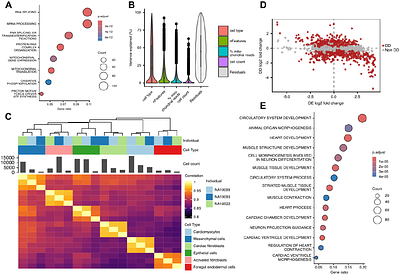 Beyond the mean: genetic control of gene expression fidelity and dispersion