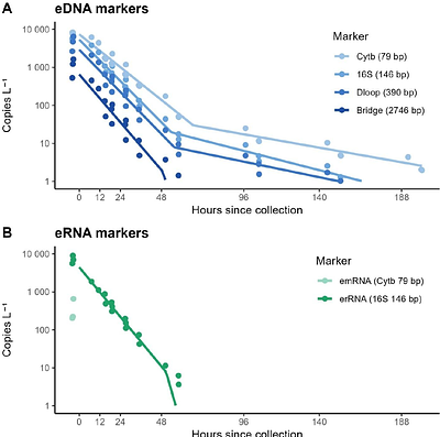 Differential Decay of Multiple eNA Components from a Cetacean