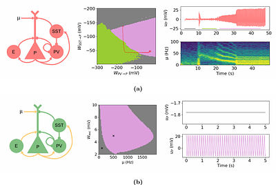 Personalized whole-brain models of seizure propagation