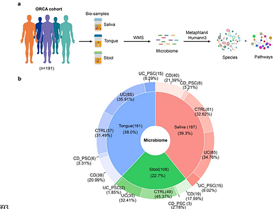 Oral Gut Microbial Axis in Inflammatory Bowel Disease and Primary Sclerosing Cholangitis