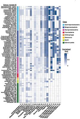 ZeaMiC: a Publicly Available Culture Collection of Maize Root-Associated Bacteria