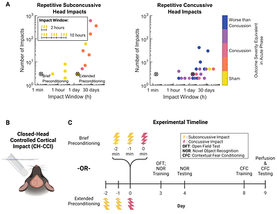 Subconcussive preconditioning prevents microglial morphology changes and improves cognitive outcomes in mice