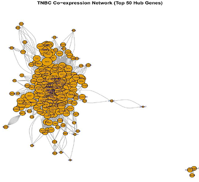 Metabolic Rewiring in Triple-Negative Breast Cancer: Systems Analysis of TCGA-BRCA Transcriptome Reveals Prognostic Hub Genes