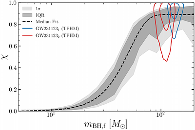 Black hole spin-mass correlation and vector resonant relaxation in gaseous star clusters: the origin of GW231123?