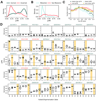 AlphaFold can be used to predict the oligomeric states of proteins