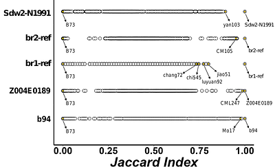 Life, the universe, and everything for $42: ultra-low pass sequencing of maize for genotyping, mapping, and pedigree analysis