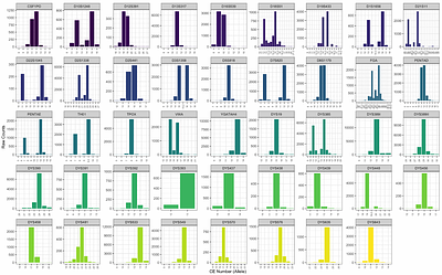 Benchmarking Nanopore Sequencing for Autosomal and Y-STR profiling on R10.4.1 Flowcells across Basecalling Models