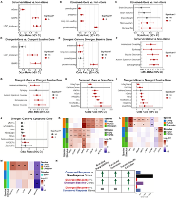 Developmental signaling reveals functionally enriched human-specific gene regulation in telencephalic progenitors