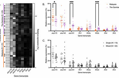 Plasmodium falciparum invasion ligand gene transcript profiles in different populations