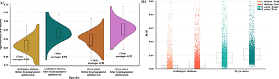Deep-Learning on condition specific expression profiles reveal critical cytosines in gene regulation