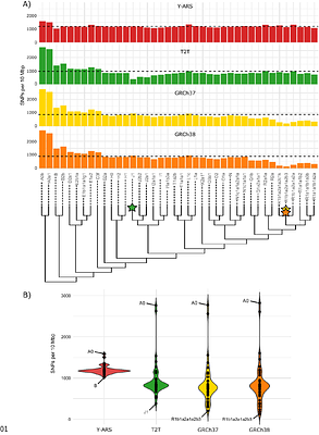 Introducing the Y chromosome ancestral reference sequence - Improving the capture of human evolutionary information