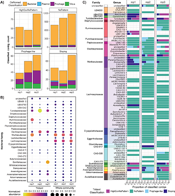 TrIdent - An R package to automate transductomics analysis of virus-like particle mediated DNA mobilization
