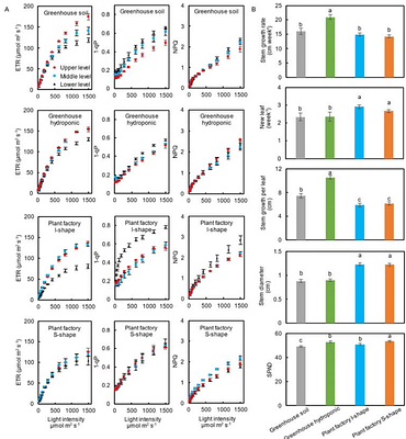 A Novel Multilayer Cultivation Strategy Improves Light Utilization and Fruit Quality in Plant Factories for Tomato Production