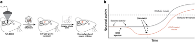 Noninvasive Control of Seizure Threshold with Acoustically Targeted Chemogenetics