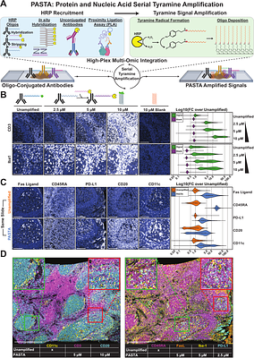PASTA: Versatile Tyramine-oligonucleotide Amplification for Multi-modal Spatial Biology