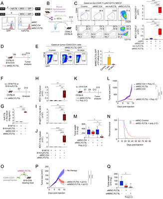 Intra-tumoral delivery of FLT3L with CXCR3/CCR5 ligands promotes XCR1+ DC1 infiltration and activates anti-tumor immunity