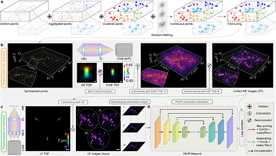 PAVR: High-Resolution Cellular Imaging via a Physics-Aware Volumetric Reconstruction Framework