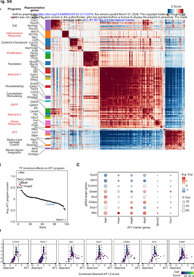In vivo interrogation of transcriptional and epigenetic regulators of lung epithelial regeneration