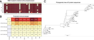 Predictive Modeling of Immune Escape and Antigenic Grouping of SARS-CoV-2 Variants