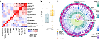 Linkage of nucleotide and functional diversity varies across gut bacteria.