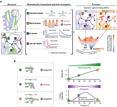 An Evaluation of Biomolecular Energetics Learned by AlphaFold