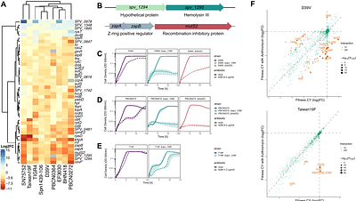 A functional genetic landscape of antibiotic sensitivity across the pneumococcal pangenome reveals conserved and lineage-specific vulnerabilities