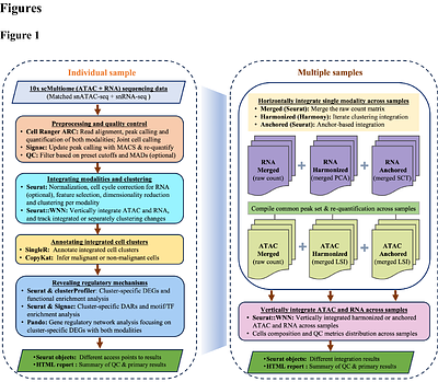 iSHARC: Integrating scMultiome data for heterogeneity and regulatory analysis in cancer