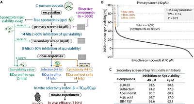 A rapid sporozoite viability assay identifies anti-Cryptosporidium parvum leads and targetable enzymatic activities in the invasive stage