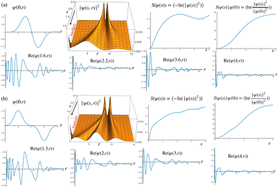 Algebraic approach to quantum gravity IV: applications